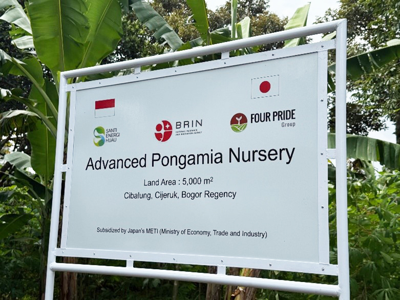 PONGAMIA